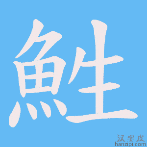 《鮏》的笔顺动画写字动画演示