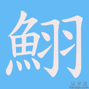《鮙》的笔顺动画写字动画演示