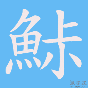 《鮛》的笔顺动画写字动画演示