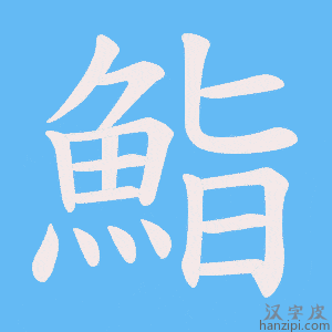 《鮨》的笔顺动画写字动画演示