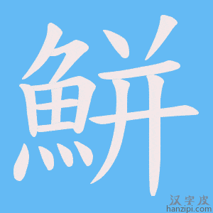 《鮩》的笔顺动画写字动画演示
