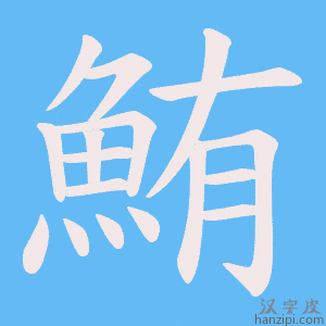 《鮪》的笔顺动画写字动画演示