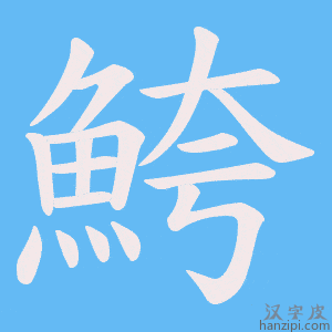 《鮬》的笔顺动画写字动画演示