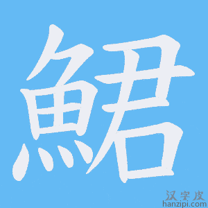 《鮶》的笔顺动画写字动画演示