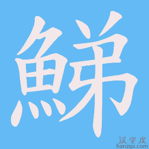 《鮷》的笔顺动画写字动画演示