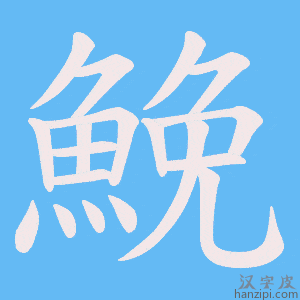 《鮸》的笔顺动画写字动画演示