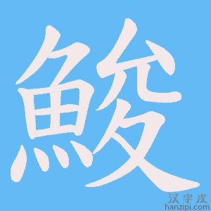 《鮻》的笔顺动画写字动画演示