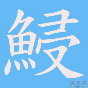 《鮼》的笔顺动画写字动画演示