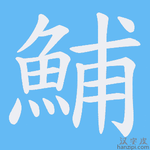 《鯆》的笔顺动画写字动画演示