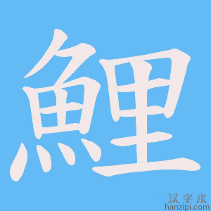 《鯉》的笔顺动画写字动画演示