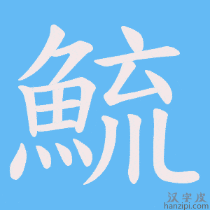《鯍》的笔顺动画写字动画演示