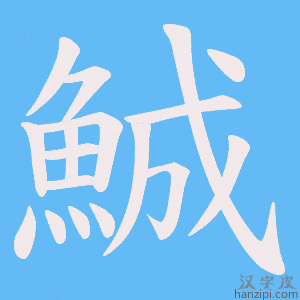 《鯎》的笔顺动画写字动画演示
