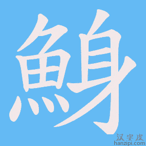 《鯓》的笔顺动画写字动画演示