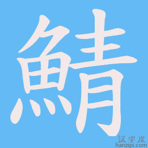 《鯖》的笔顺动画写字动画演示