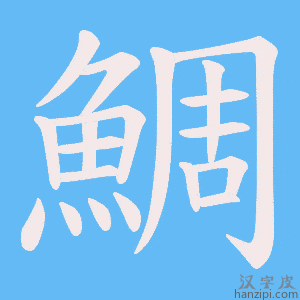 《鯛》的笔顺动画写字动画演示