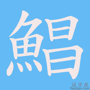 《鯧》的笔顺动画写字动画演示