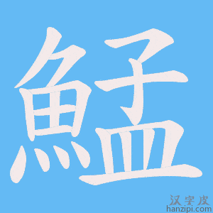 《鯭》的笔顺动画写字动画演示