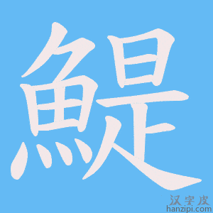 《鯷》的笔顺动画写字动画演示