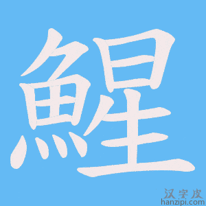 《鯹》的笔顺动画写字动画演示