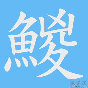 《鯼》的笔顺动画写字动画演示