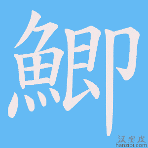 《鯽》的笔顺动画写字动画演示