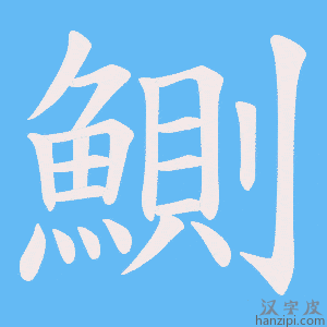 《鰂》的笔顺动画写字动画演示