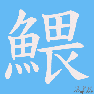 《鰃》的笔顺动画写字动画演示