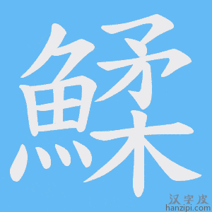 《鰇》的笔顺动画写字动画演示