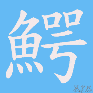 《鰐》的笔顺动画写字动画演示