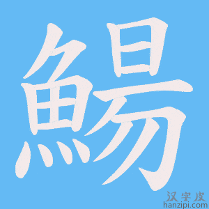 《鰑》的笔顺动画写字动画演示
