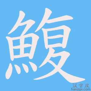 《鰒》的笔顺动画写字动画演示