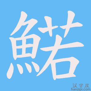 《鰙》的笔顺动画写字动画演示