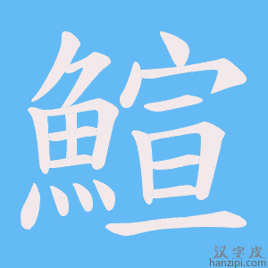 《鰚》的笔顺动画写字动画演示