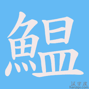 《鰛》的笔顺动画写字动画演示