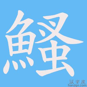《鰠》的笔顺动画写字动画演示