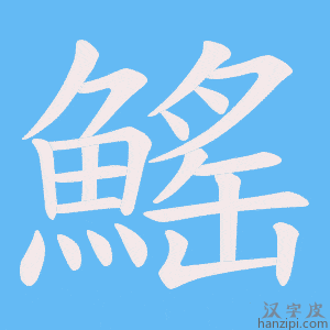 《鰩》的笔顺动画写字动画演示