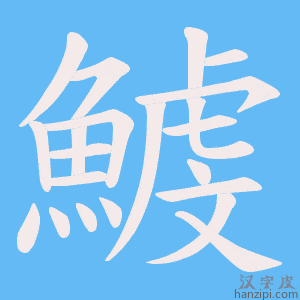 《鰬》的笔顺动画写字动画演示