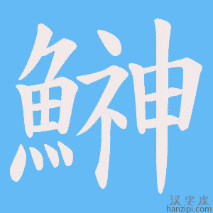 《鰰》的笔顺动画写字动画演示