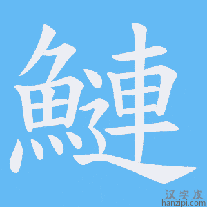 《鰱》的笔顺动画写字动画演示