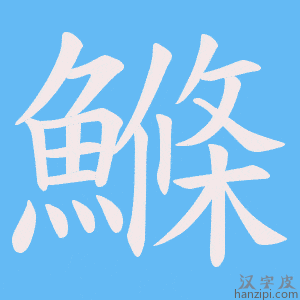 《鰷》的笔顺动画写字动画演示
