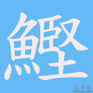 《鰹》的笔顺动画写字动画演示