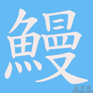 《鰻》的笔顺动画写字动画演示