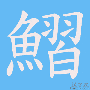《鰼》的笔顺动画写字动画演示