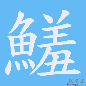 《鱃》的笔顺动画写字动画演示