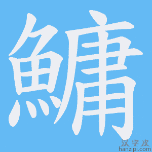 《鱅》的笔顺动画写字动画演示
