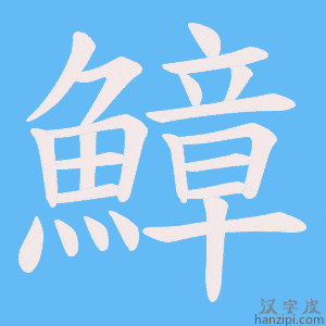 《鱆》的笔顺动画写字动画演示