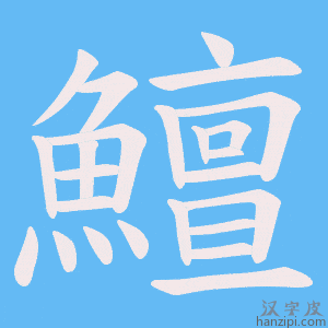 《鱣》的笔顺动画写字动画演示
