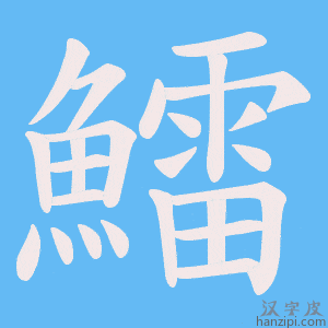 《鱩》的笔顺动画写字动画演示