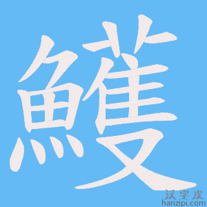 《鱯》的笔顺动画写字动画演示