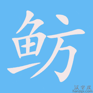 《鲂》的笔顺动画写字动画演示